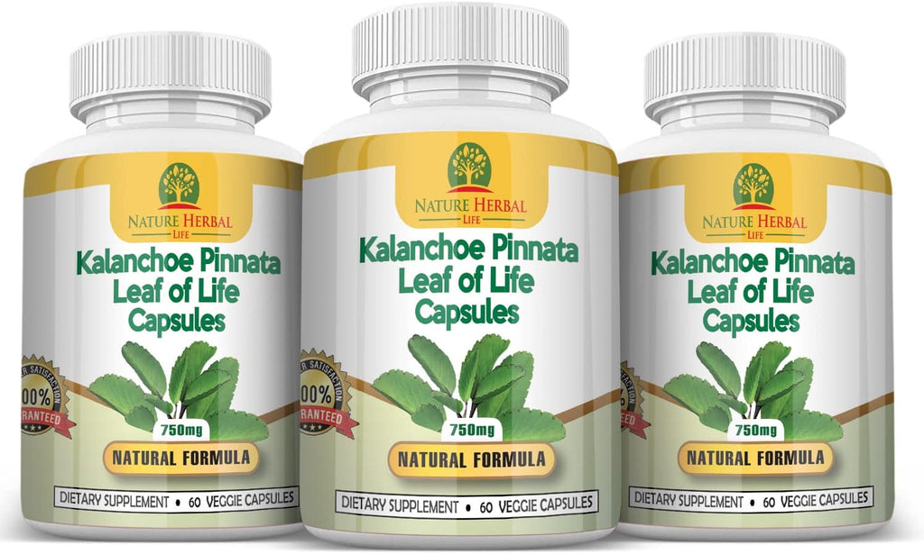 Kalanchoe Pinnata (Hoja de Vida) 750mg - 180 Cápsulas Vegetales (3 Frascos)