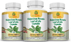 Kalanchoe Pinnata (Hoja de Vida) 750mg - 180 Cápsulas Vegetales (3 Frascos)