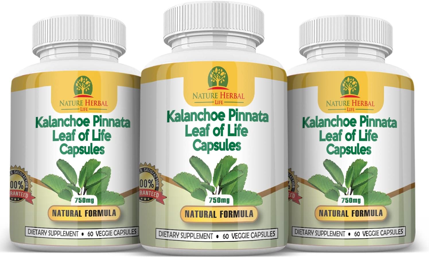 Kalanchoe Pinnata (Hoja de Vida) 750mg - 180 Cápsulas Vegetales (3 Frascos)
