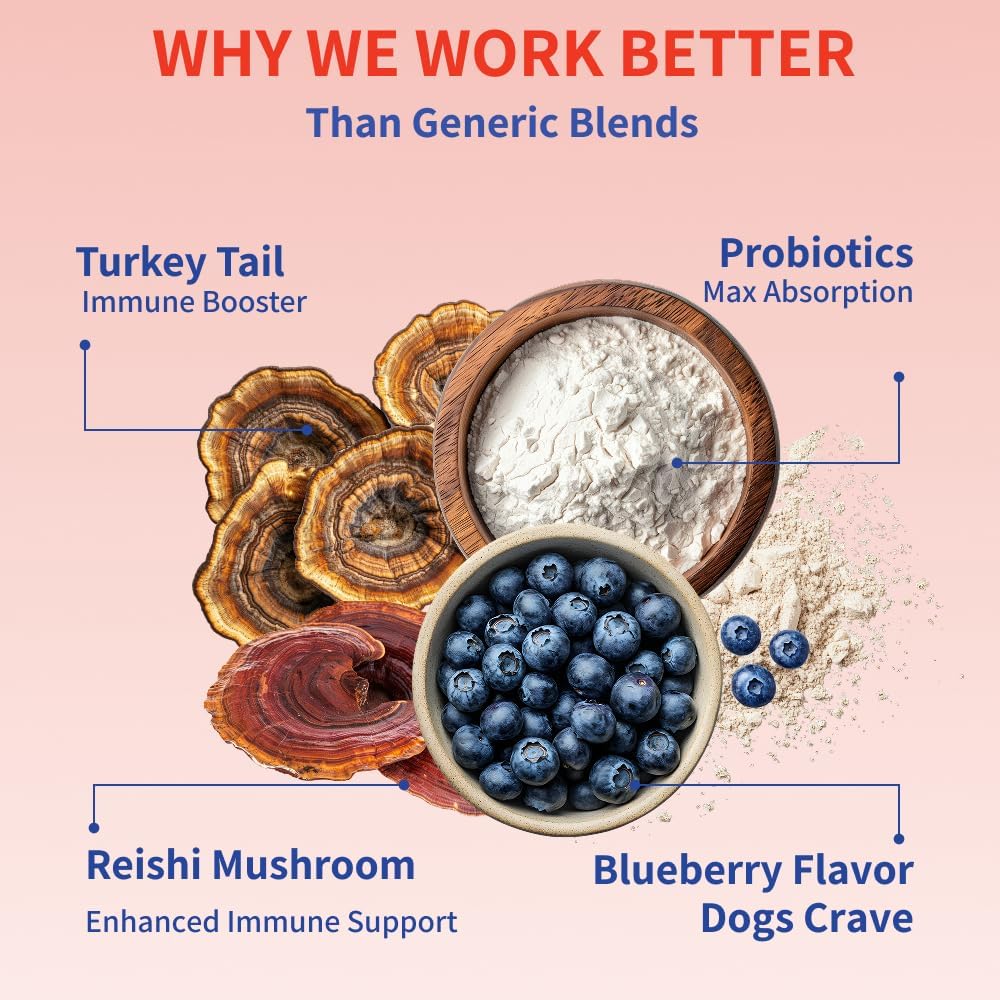 Fifth & Fido Turkey Tail+ para Perros - Suplemento de Hongo Cola de Pavo con Probióticos - 30 dosis