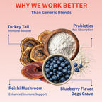 Fifth & Fido Turkey Tail+ para Perros - Suplemento de Hongo Cola de Pavo con Probióticos - 30 dosis