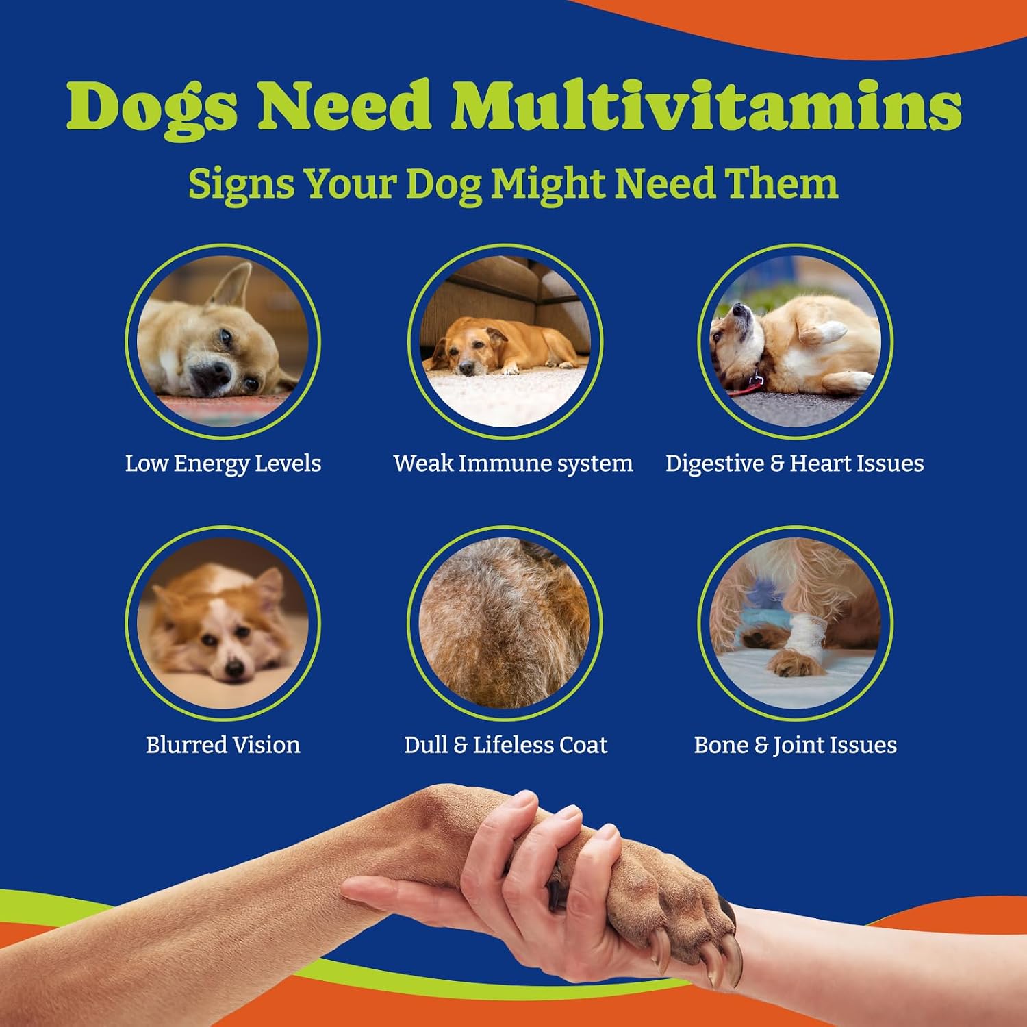 YoYoBay Multivitamínico Masticable para Perros - 180 Comprimidos Sabor Pato y Pera - Vitaminas A, B, C, D, E