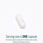 HMF Multi Strain | 16 Probiotic Strains | 60 Capsules