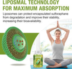 Rosmolo Sulforafano Liposomal 800 mg - Sistema Dual-Delivery, Extracto Integral de Brócoli, Antioxidante y Apoyo Hepático, 60 Cápsulas