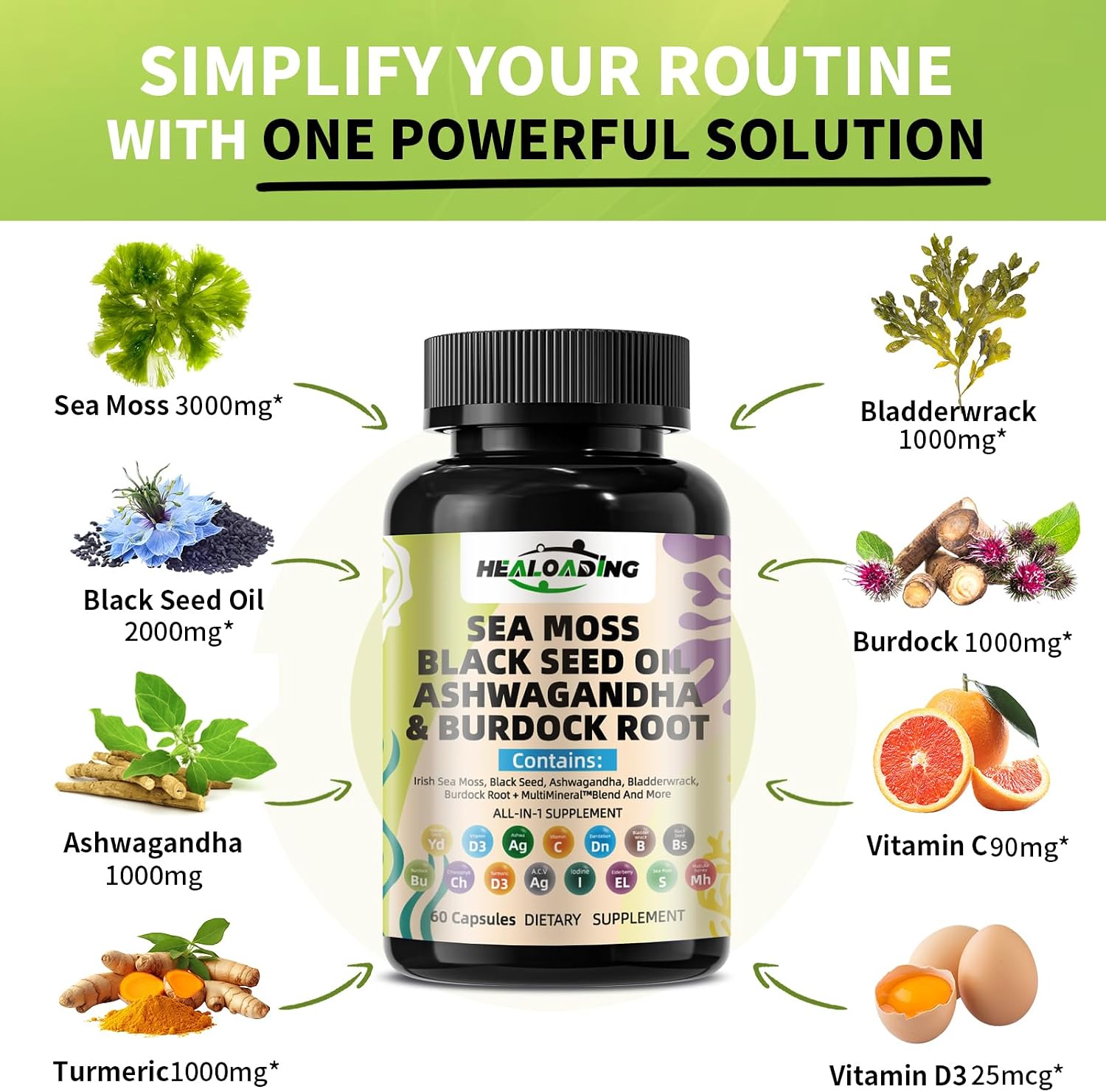 HEALOADING Cápsulas de Musgo Marino Silvestre y Vejiga de Mar - 350mg - Vegano, No OGM