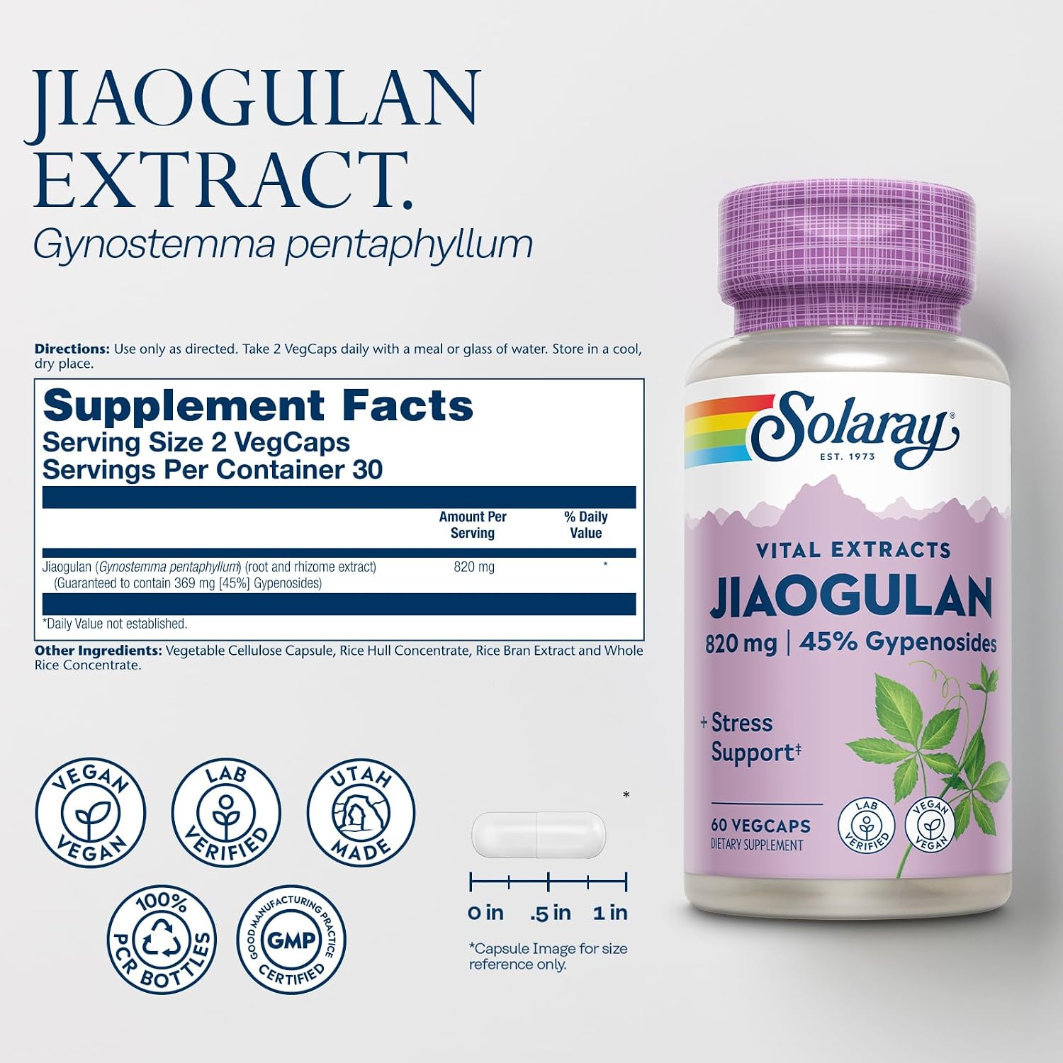 Solaray Jiaogulan Extracto de Raíz y Rizoma - 60 Cápsulas Vegetales
