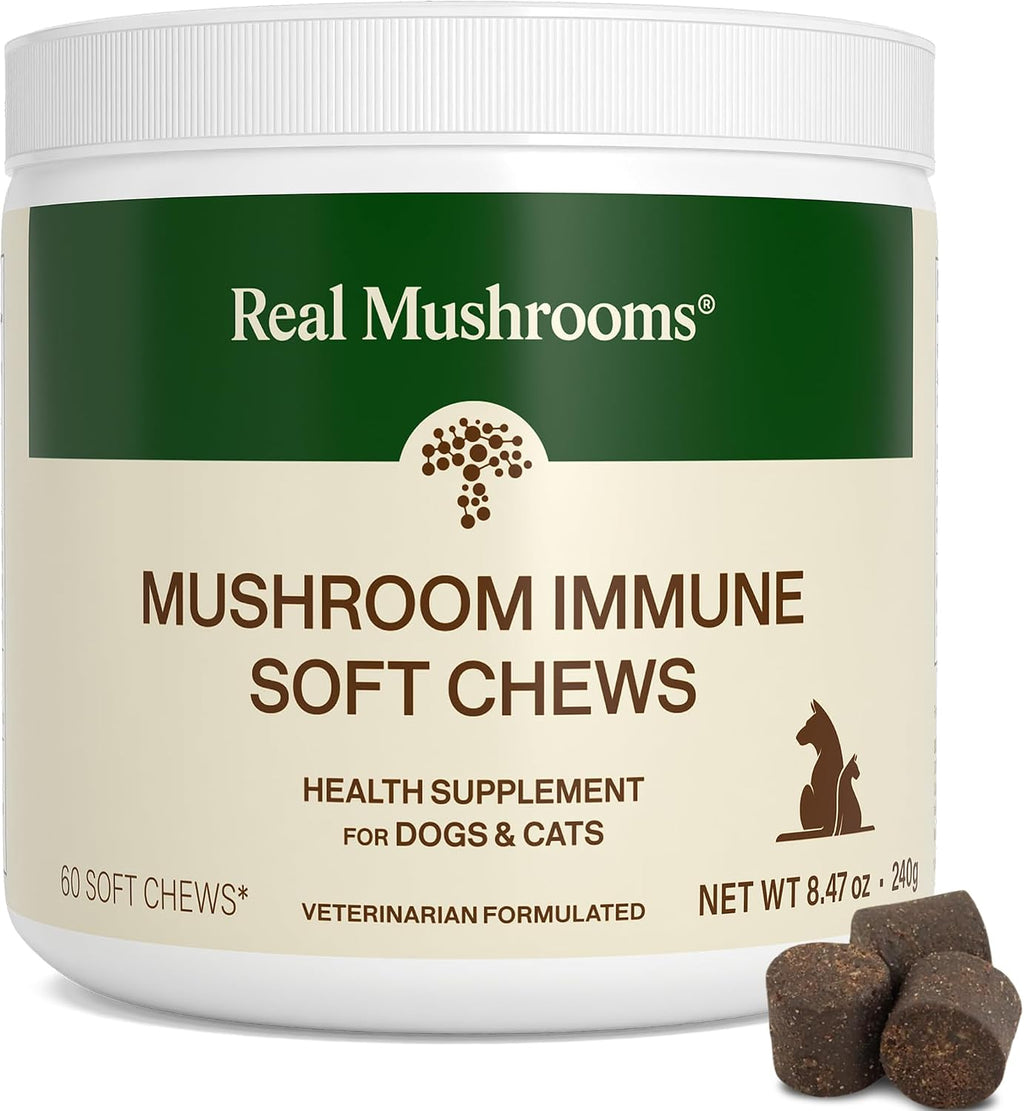 Real Mushroom Immune Pet Chews – Masticables de hongos para perros y gatos (60 uds)