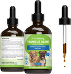 Pet Wellbeing Young at Heart for Perros – Apoyo Cardiovascular Senior – 118 ml (4 oz)