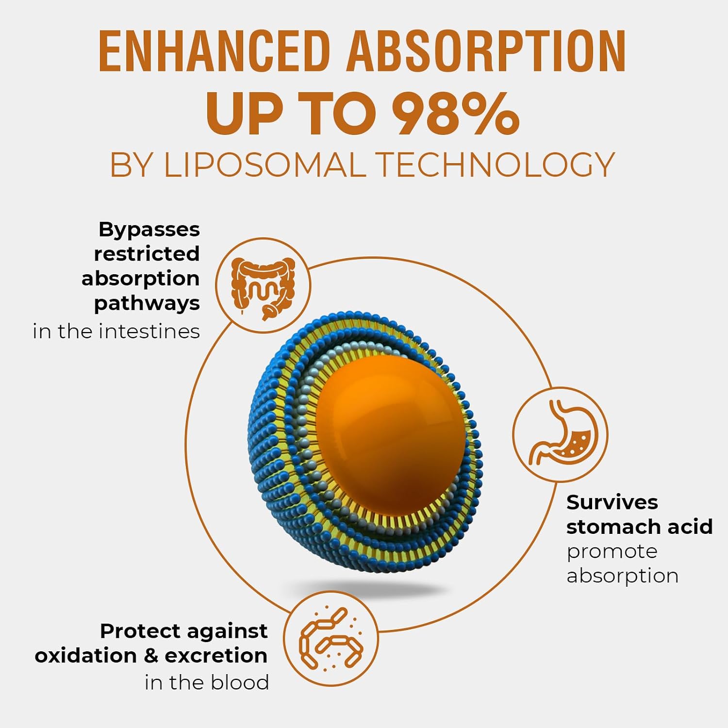 Santegra Rhodiola Rosea Liposomal 500 mg – Líquido Vegano 60 ml