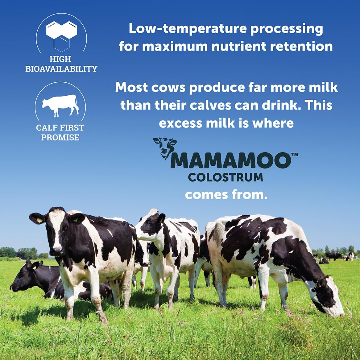 MamaMoo™ Calostro Bovino en Polvo >50% IgG, Pasto Criado, Verificado No GMO, Salud Intestinal, Inmunidad, Piel y Cabello (120 Cápsulas)