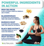 NUTRALAVA Sea Moss Capsules - Irish Sea Moss, Black Seed Oil, Ashwagandha - 60 Cápsulas