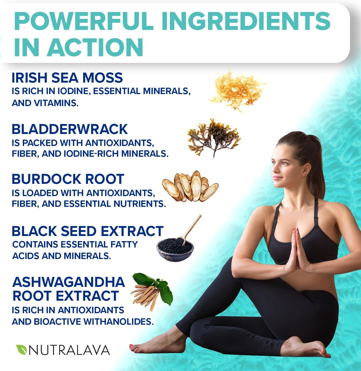 NUTRALAVA Sea Moss Capsules - Irish Sea Moss, Black Seed Oil, Ashwagandha - 60 Cápsulas