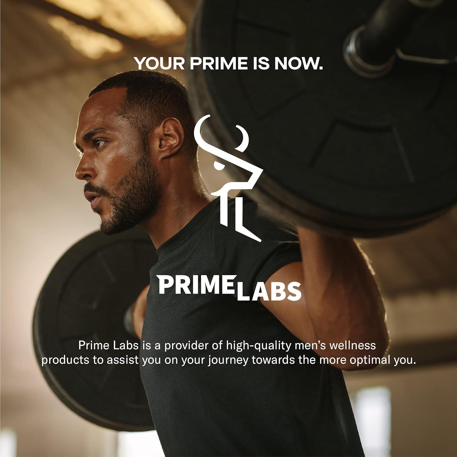 Prime Labs Fadogia Agrestis para Hombres - 600mg por Ración - 180 Cápsulas (90 Días)