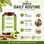 VEDIKROOTS Cápsulas de Amla 100% Orgánicas - Fuente Natural de Vitamina C - Complemento Alimenticio Herbal (60 Cápsulas, Pack de 2)