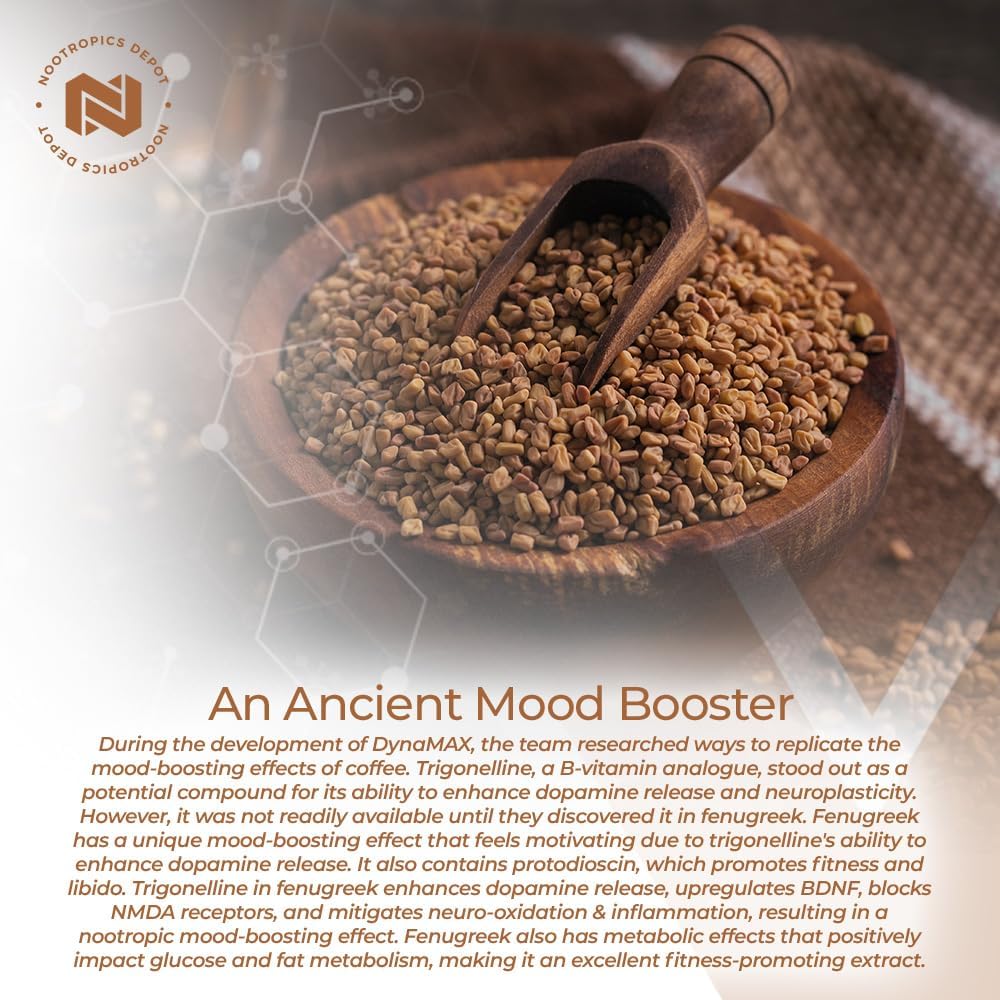 Extracto de Fenogreco de Nootropics Depot | 500 mg | 60 cápsulas | 3% Trigonelina, 1% Protodioscina