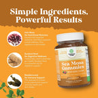 Natures Craft Gominolas de Irish Sea Moss - 90 Unidades
