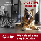 Probióticos para Perros - Masticables Digestivos con Enzimas de Pawzitive Pets