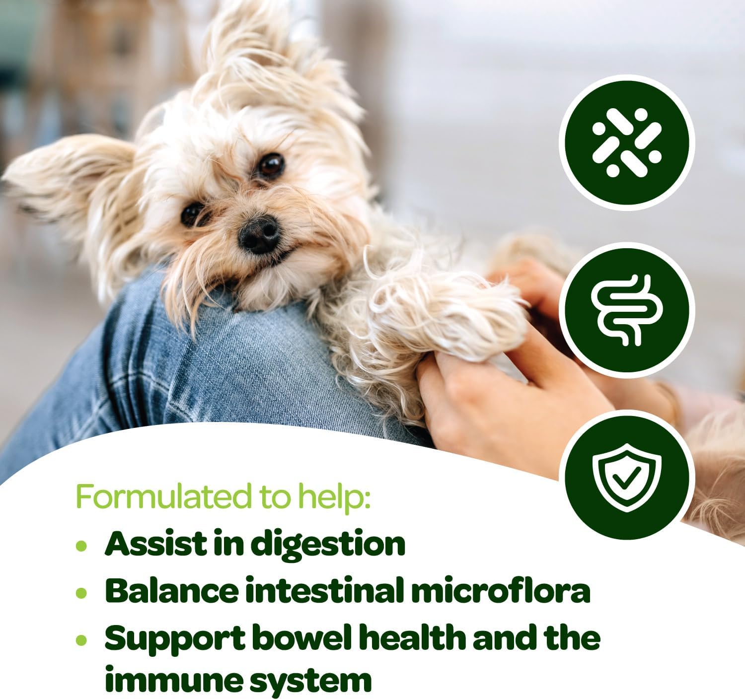 Masticables Probióticos para Perros - Salud Digestiva con Calabaza y Enzimas - 60 Unidades