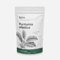 Funtumia Elastica Powder – Apoyo Respiratorio – Cápsulas Veganas
