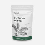 Funtumia Elastica Powder – Apoyo Respiratorio – Cápsulas Veganas