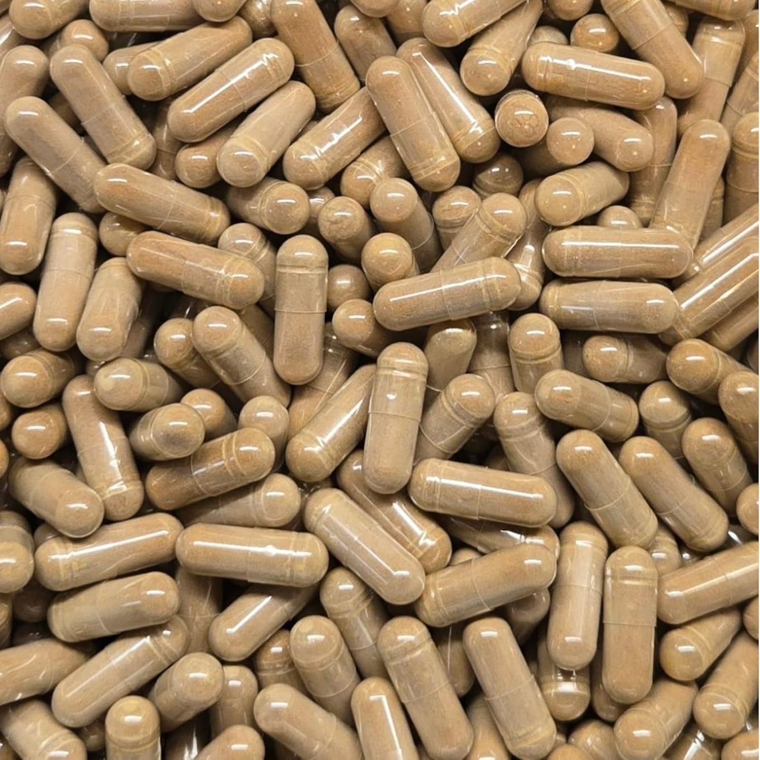 Extracto de Hoja de Morera Blanca 4:1 Cápsulas - 60 Cápsulas - 500mg Cada una