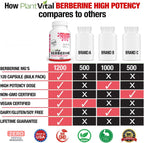 Plantvital Berberina 1200mg (por 2 Cápsulas) - 120 Cápsulas Veganas