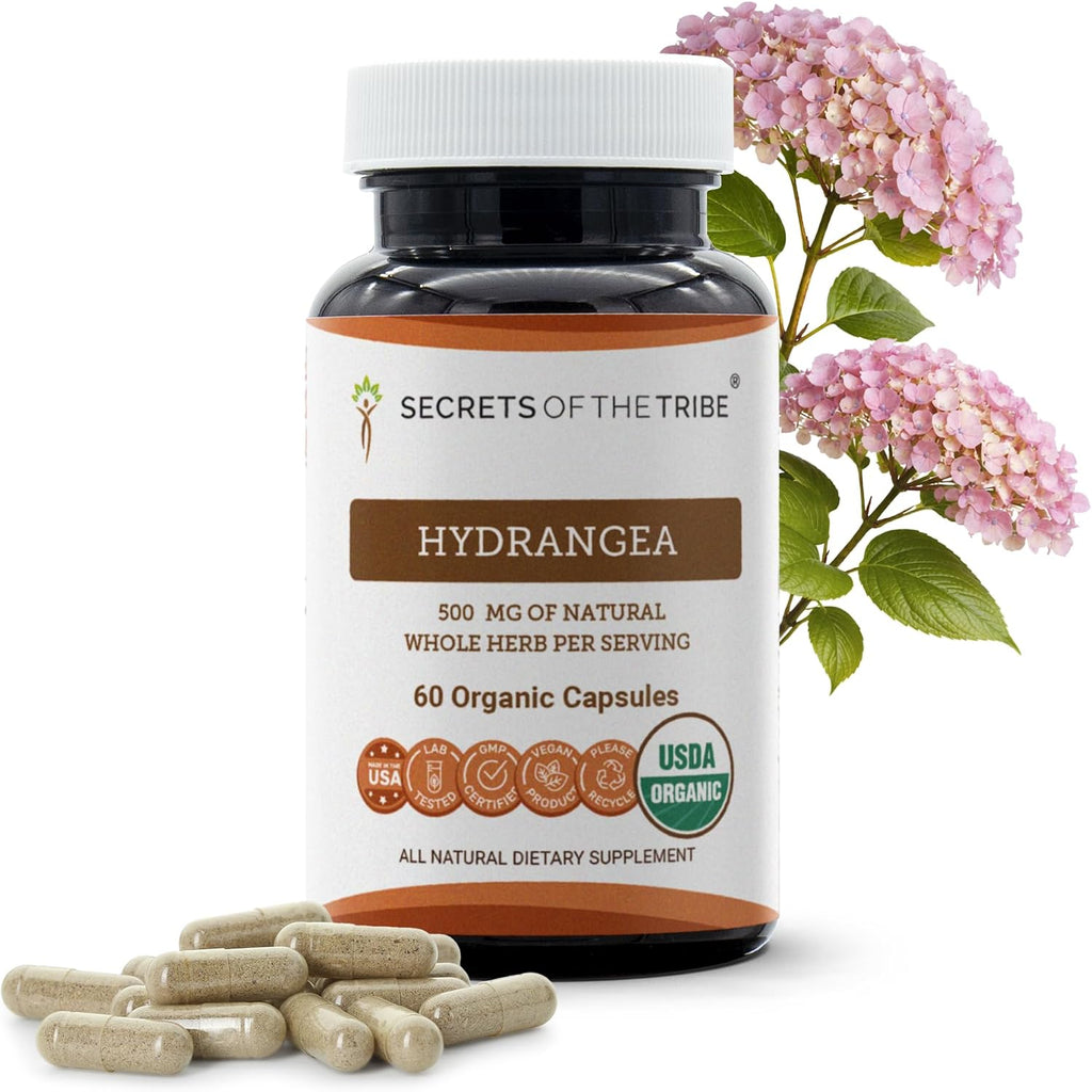 Secrets of the Tribe Hydrangea Arborescens Cápsulas Orgánicas