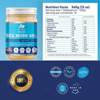 BioVitalica Gel de Musgo de Mar Irlandés Orgánico 340g - Seamoss Silvestre con Iodo, Bladderwrack y Bardana