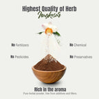Nagkesar (Mesua Ferrea) Flower Pod Powder - Wild Harvested, Non-GMO, Steam Treated - 16 oz (1 lb)