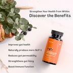 Akkermansia Probiótico con Inulina, 60 Cápsulas - Salud Intestinal y Metabolismo