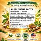 Sunshine Naturals Chanca Piedra con Guisazo de Caballo - 1000 mg - 180 Cápsulas (Pack de 2)