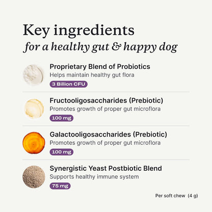 PetLab Co. Probióticos para Perros - Sabor – 8 cepas probióticas: Incluyen Lactobacillus acidophilus, – Image 5