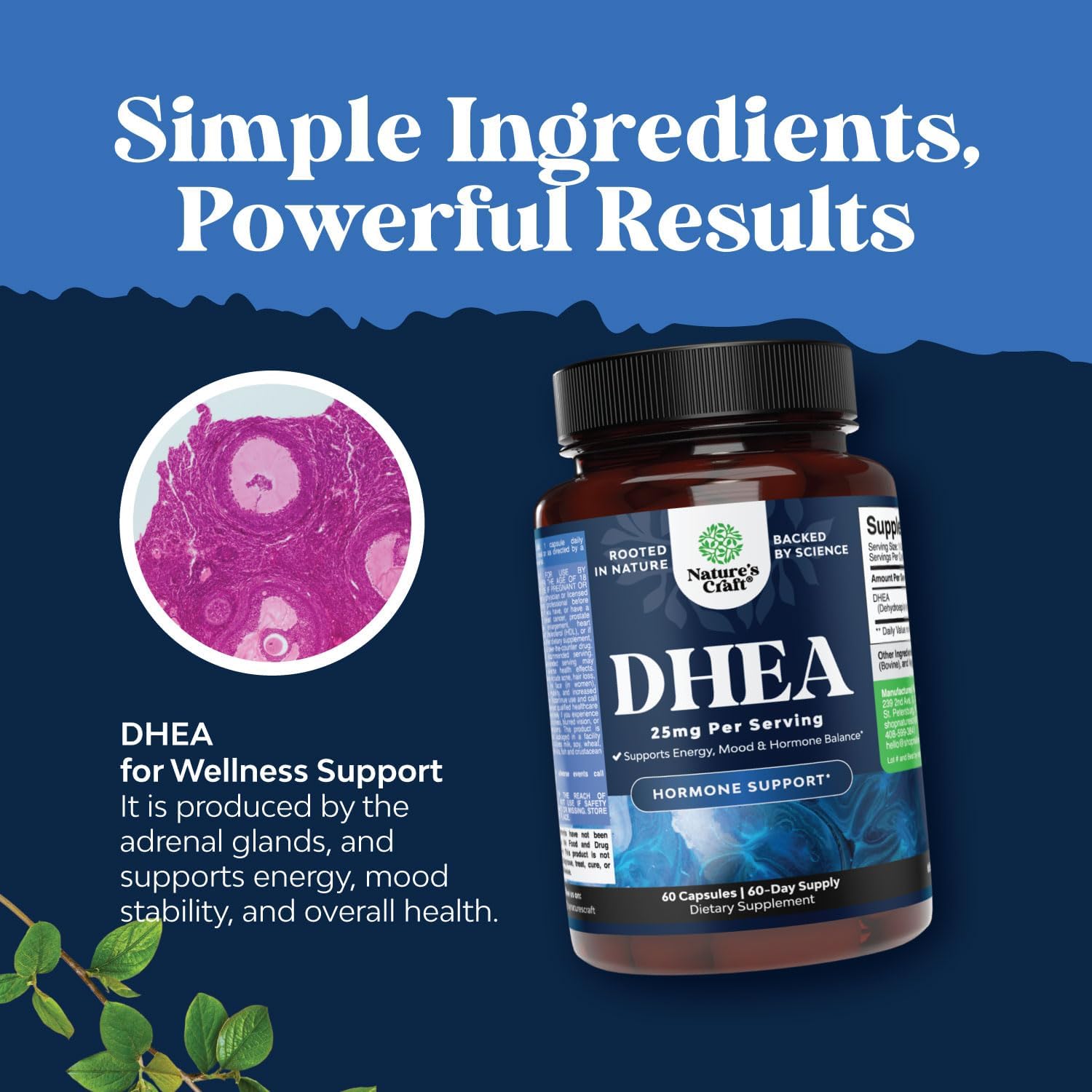 Natures Craft DHEA 25 mg - Suplemento para el Equilibrio Hormonal, Ánimo y Energía - 60 Cápsulas