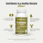 Varuna Nurvala Extract Capsules – 800 mg | Vegano y Sin Gluten | Suplemento Ayurvédico
