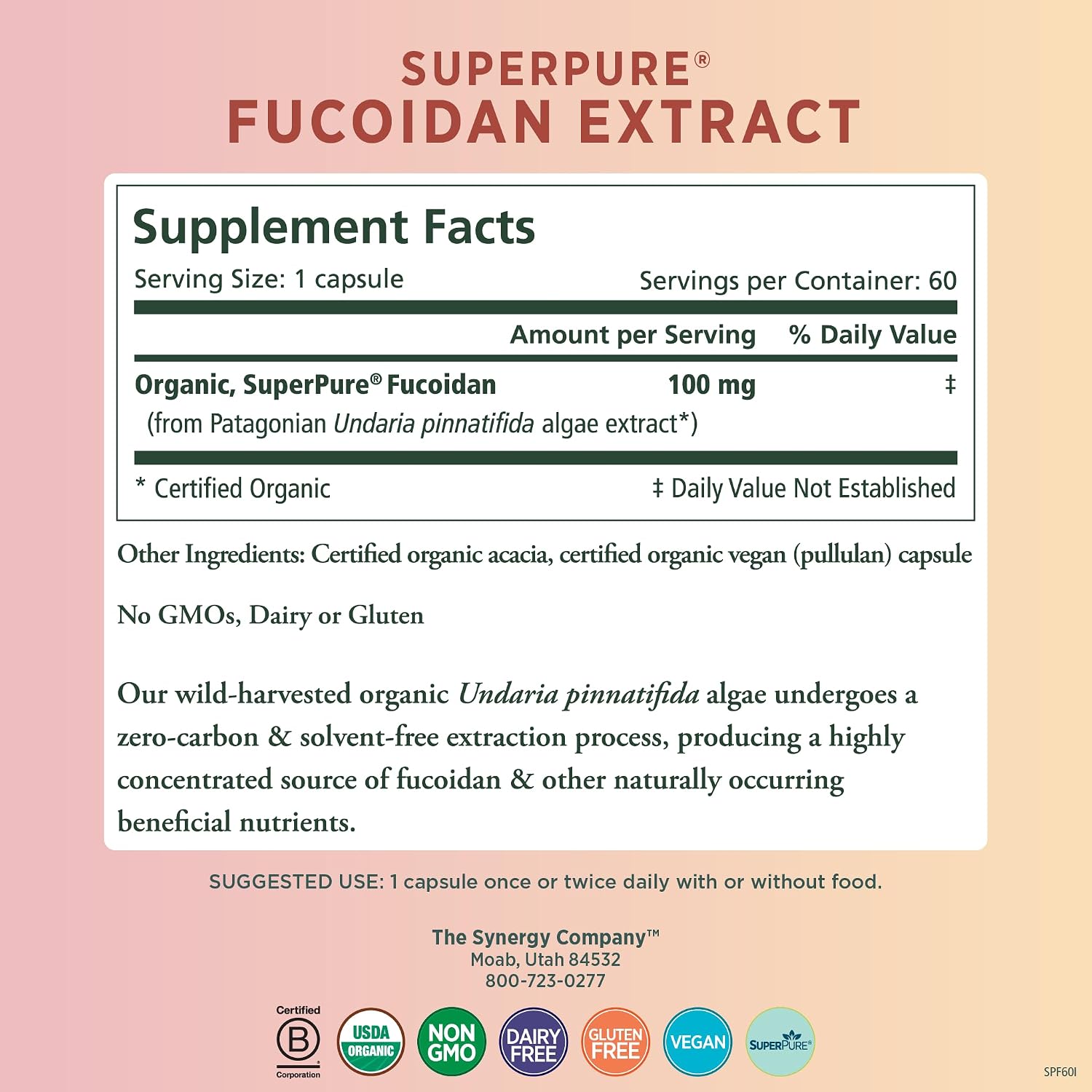 PURE SYNERGY SuperPure Fucoidan Extract - 60 Cápsulas - Fucoidan Puro de Alga Parda Orgánica