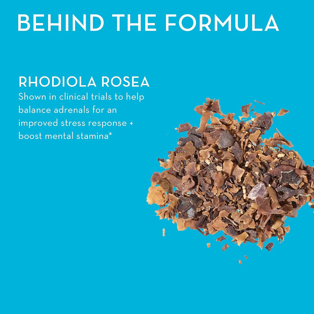 HUM Big Chill Rhodiola Rosea – Suplemento adaptógeno para la calma y la concentración, 30 cápsulas veganas