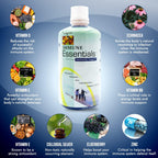 Wellgenix Immune Essentials Complemento Líquido – Saúco, Equinácea, Zinc y Vitamina C – Sabor a Fruta – 946 ml