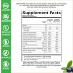 Wellvites Kids Multivitamin Gummies - Gominolas multivitamínicas infantiles sin azúcar, veganas, 60 unidades