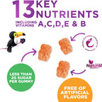 Multivitamínico Infantil Gomitas - Complejo de Vitaminas Diarias para Niños con Vitamina D, Vitaminas B, Zinc y Más - Apoyo Energía, Memoria y Sistema Inmunológico - Sabor Bayas Natural - 60 Gomitas