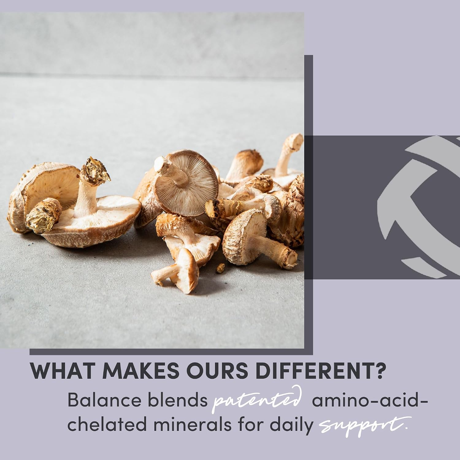 Tranont Balance - Complejo Multivitamínico y Mineral, 90 Cápsulas