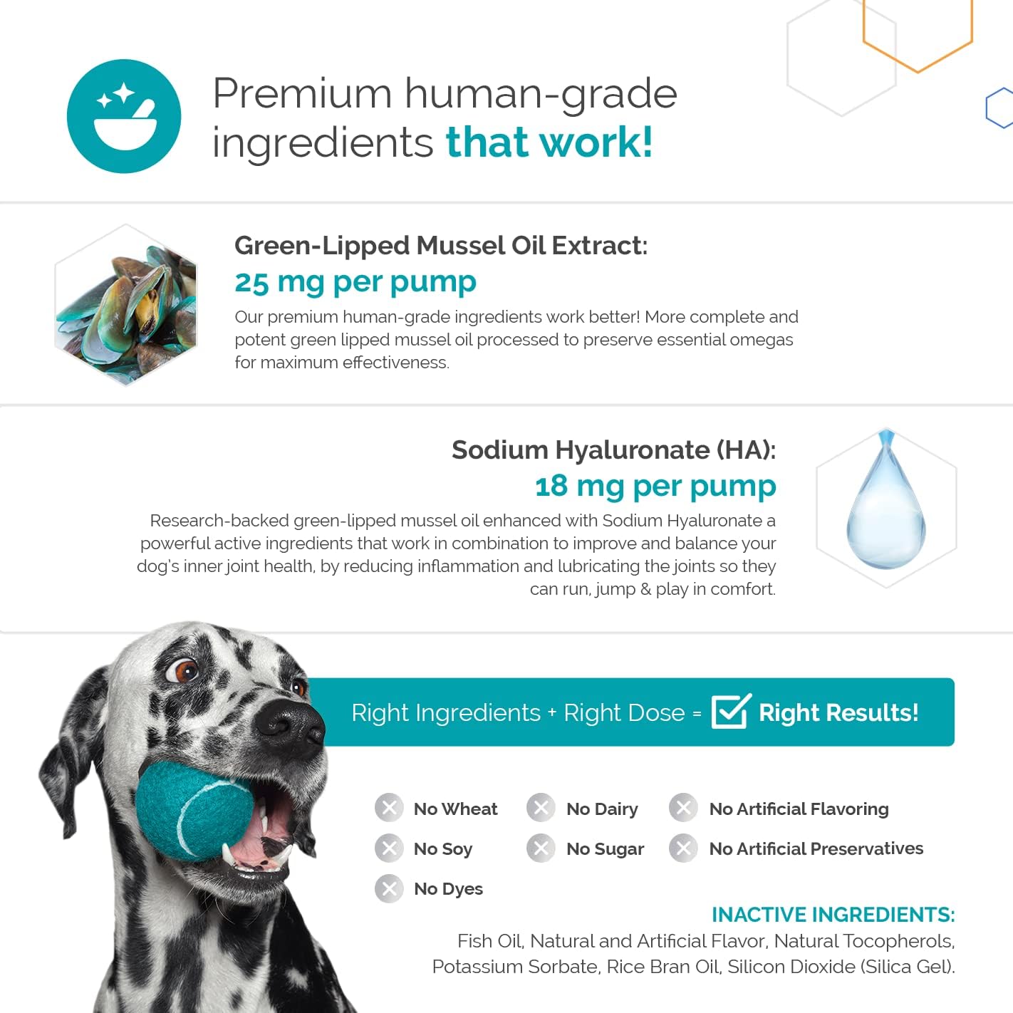 Flexerna Omega Suplemento Articular para Perros con Mejillón de Labios Verdes y Omega 3 - 8 oz (237 ml)