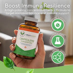 Return Healthy Cryptolepis Concentrate - 120 Cápsulas