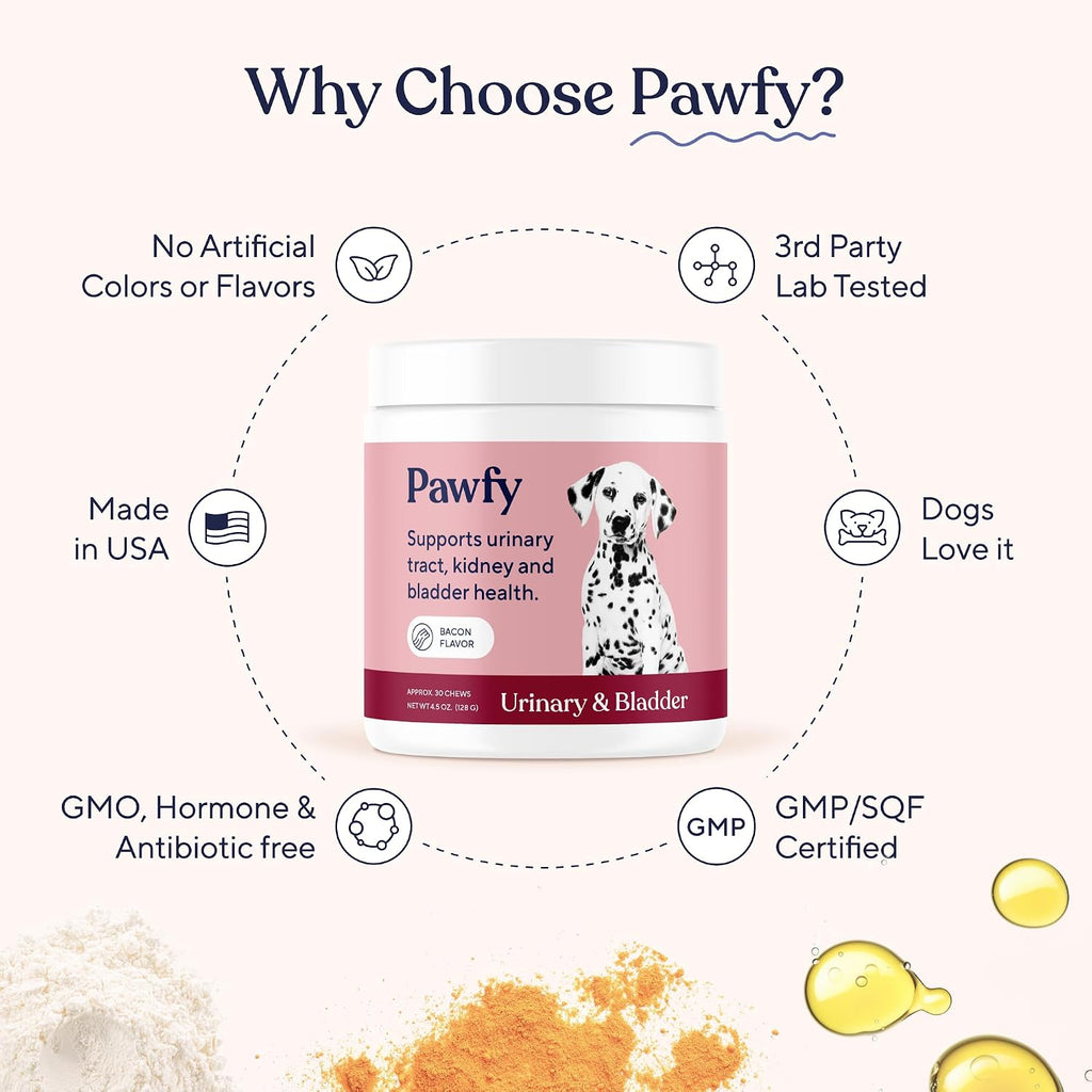 Pawfy Complemento Urinario para Perros | Arándano y D-Mannosa | Salud de la Vejiga y Tracto Urinario | 30 Masticables