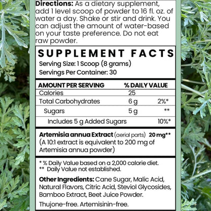 Artemisia Annua Sweet Wormwood Herbal Powder – Extracto de bambú: Aporta sílice natural, beneficioso para la salud – Image 2