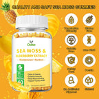 OALSE Sea Moss Gummies 2000mg - 8 en 1 con Vitamina C, D3 y Zinc - Pack de 2