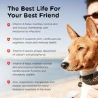Nutri-Vet Adult-Vite Plus Multivitamínico para Perros, Snacks Blandos, 70 Unidades