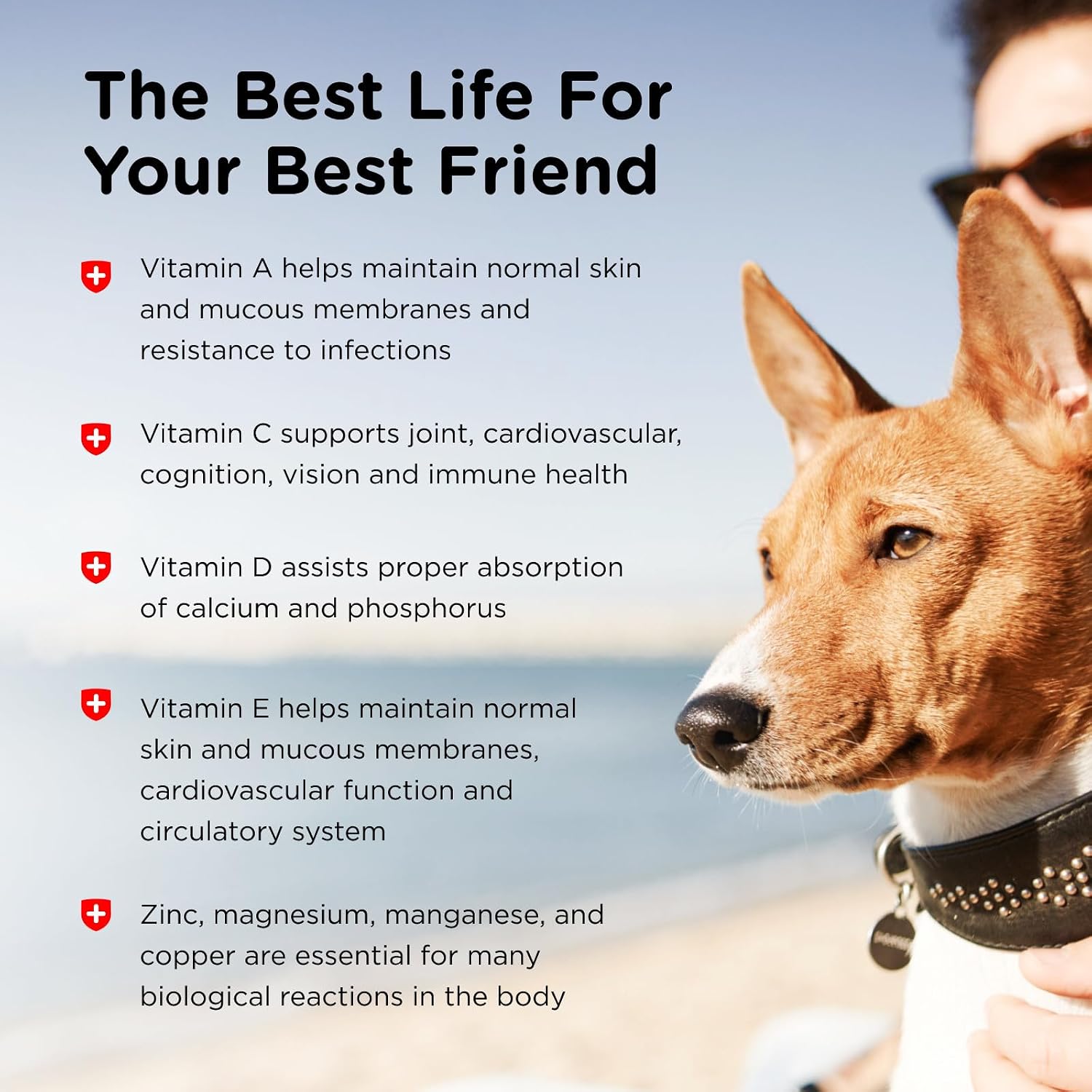 Nutri-Vet Adult-Vite Plus Multivitamínico para Perros, Snacks Blandos, 70 Unidades