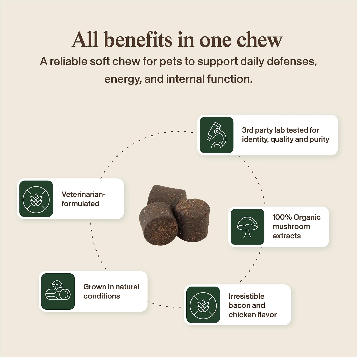 Real Mushroom Immune Pet Chews – Masticables de hongos para perros y gatos (60 uds)