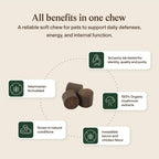 Real Mushroom Immune Pet Chews – 60 Masticables para Perros y Gatos