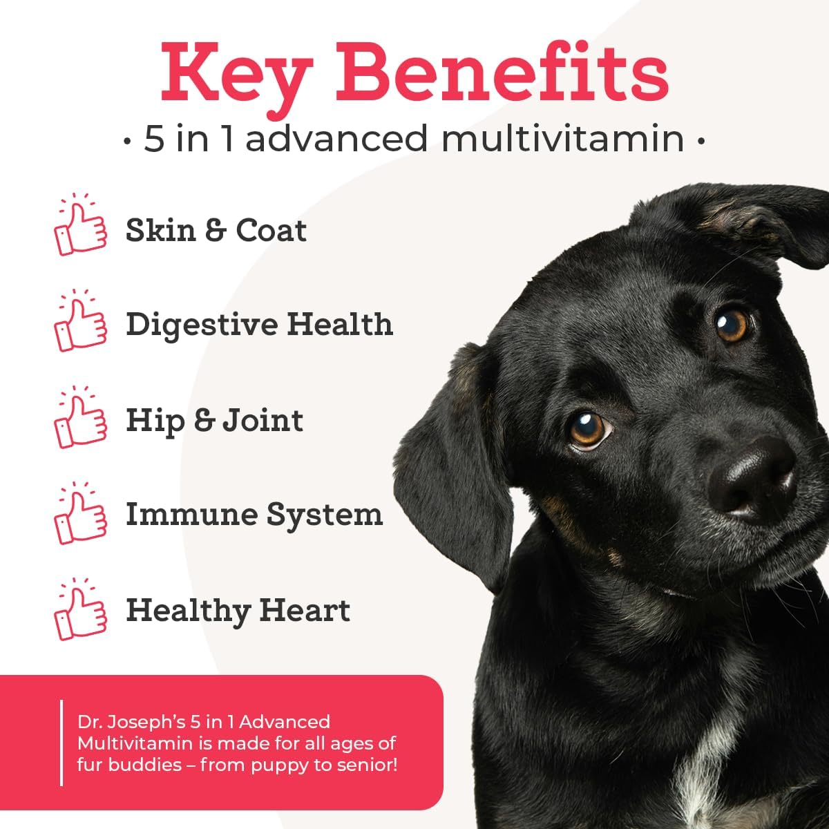 Dr. Joseph's VetPro Complete Multivitamínico para Perros Grandes, 120 Comprimidos (Suministro para 60 Días)